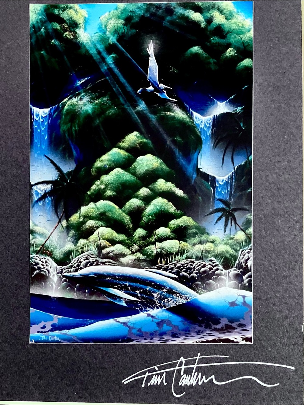 TIM CANTOR Cibachrome Print / RARE 1990s Signed / DOLPHIN Fantasy / 9x12 FRAMED